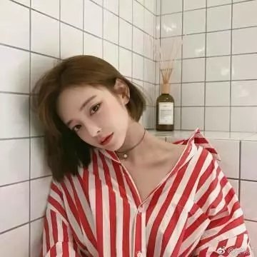花盆
